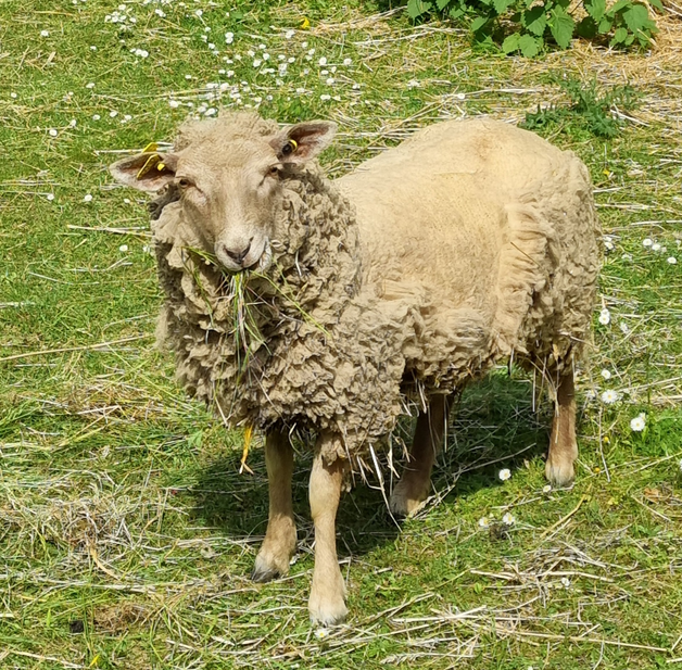 7 7